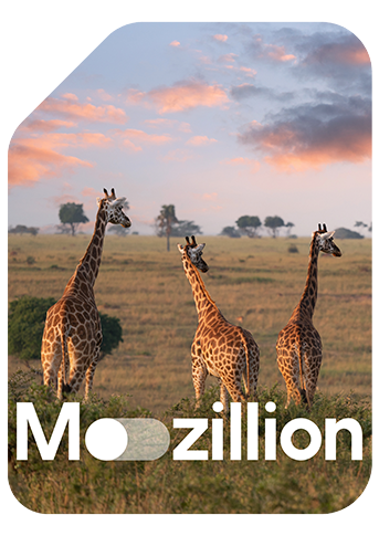 1765553885_Mozillion Travel SIM Cover - Uganda.png